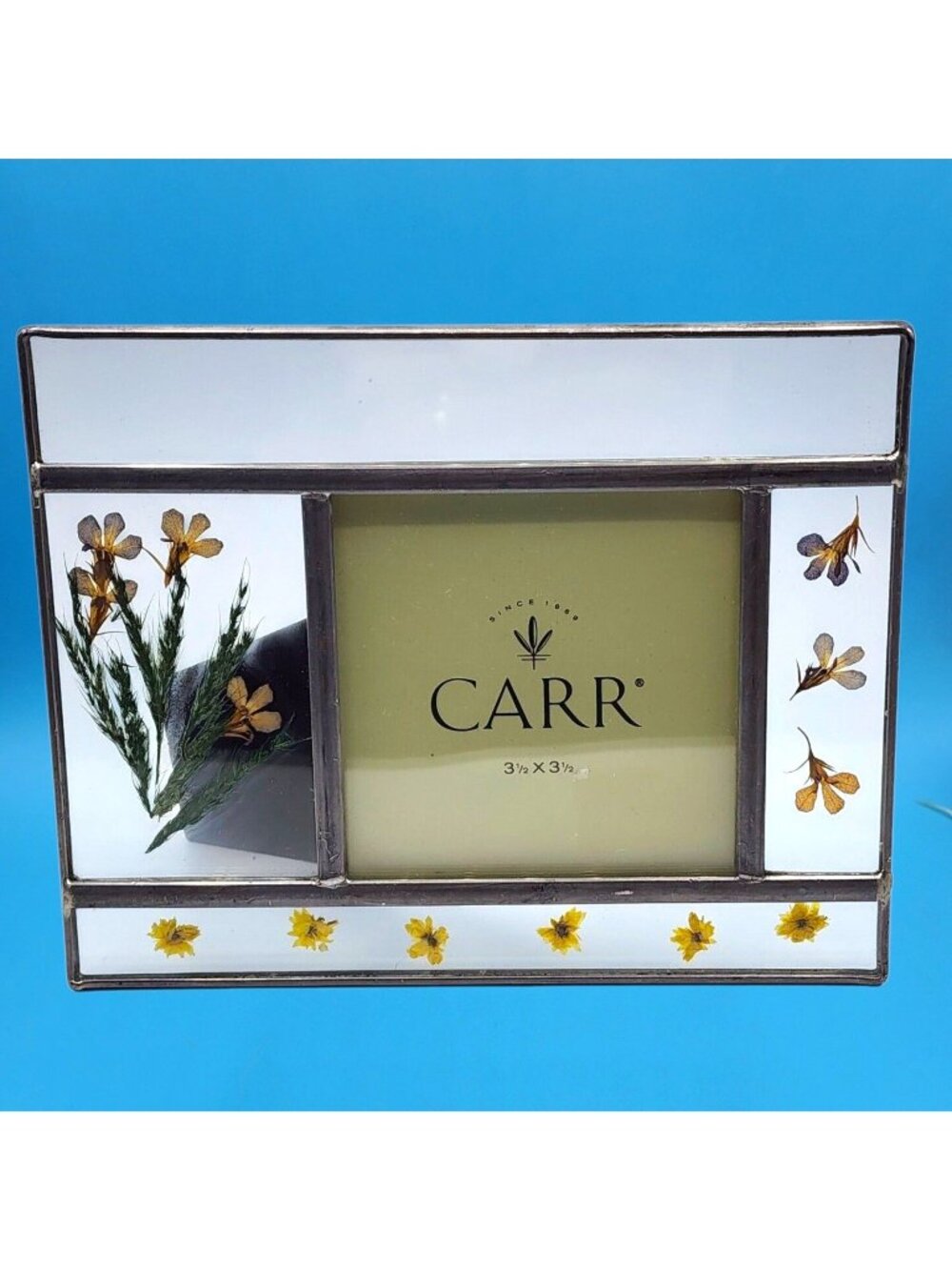 Vintage CARR Pressed Dried Flower Leaded Glass Picture Frame Botanical